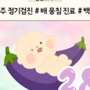 참여성병원 이미지