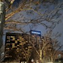 용산-322 | [용산/한강진] 그랜드하얏트서울 / 체크인 / 셔틀 / 남산뷰/ 서울호캉스 추천 후기