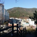 마동근린공원산책로 네이버블로그