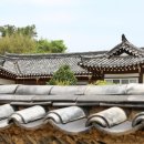 매원 Daum카페