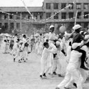 매동초등학교 이미지