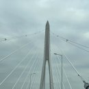 신안 섬여행(임자도 홍매화,증도,자은도) 1편