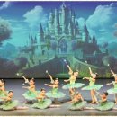 초등성장발레 이미지