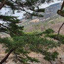 김정희약국