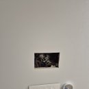 포스코 더샾 이미지