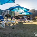 파인파크 이미지