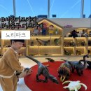 씨유서창2지구점 | 서창키즈카페 인천아기랑 갈만한곳 5살 7살 뽕뽑은 노리파크서창지구점 솔직후기