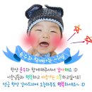 알로앤루 | 신생아 아기띠 추천 :: 알로앤루 아기띠 후기:D