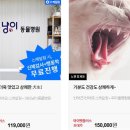 반포자이동물병원 이미지