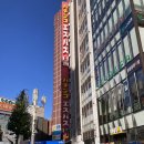 [ Tokyo ] 가마쿠라 당일치기 여행, 가마쿠라 맛집 추천, 신주쿠 오모이데요코초 맛집