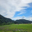 하루정원 | 쫄보의 단양 패러글라이딩 후기 도담삼봉, 버베나 정원 하루 코스