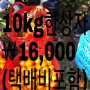 김창진농장 Daum카페