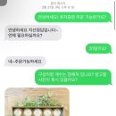 지선정담