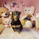 코코앤몽 이미지