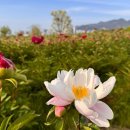 향기캠프 앞 이미지