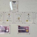 리아앤스칼프 이미지