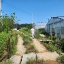 삼영 농장 이미지