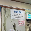 평택해장왕 | 평택] 평택해장왕 | 평택 서정동, 송탄 내장탕/뼈해장국 해장 맛집 평택해장왕 타이틀 인정...