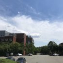 (주)피드랜드코리아 광양G.G | 초여름에서 한여름이 되기까지🌿