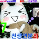 칠방 이미지