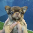 와와멍# 이미지