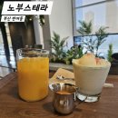 노부스테라 | 부산 반여동 대형카페 노부스테라 시그니처 메뉴 수영강 솔직후기
