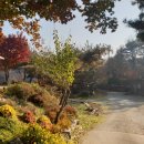 호수산장 이미지