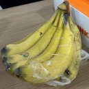 바른현치과의원 이미지