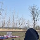 댕스피크닉 이미지