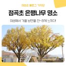 점곡초등학교 이미지