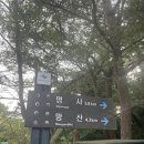 저구망산등산로 이미지