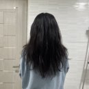 버드패밀리 | 힐링버드 리바이브 단백질 트리트먼트, 리바이브 리페어 헤어 오일 기획세트 클리오 패밀리세일 구매 후기