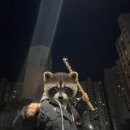 조하상점 이미지