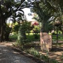 캄보디아에서 탁구대회가 있네요. 이미지