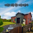 제주다반사 | 제주도 조천읍 숙소 조식제공 독채 펜션 후기
