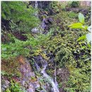 오도산펜션 이미지