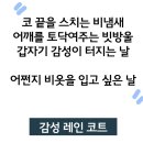 감성 레인코트,우의, 골프, 등산, 출근, 이미지