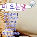 *황금 미학＜2024甲辰年년4월30일＞(🍒💖🌷비 내리는 날엔 / 시, 이근대🌷💖🍒)* 이미지