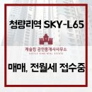 롯데킹공인중개사사무소 이미지