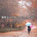 시연기획