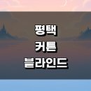 소앤소동물병원(출장전문) | 평택시 커튼 블라인드 인테리어 잘하는곳 추천 전문업체 암막 우드 린넨 콤비 금액 쉬폰 거실 작은방