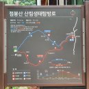 섬초롱민박 | [1박여행] 비 오는 날★점봉산 곰배령★진동리 코스★7월 야생화 / 곰배령 숙소추천