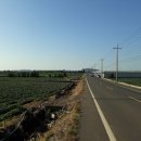 신도리-6 이미지