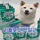 펫라인유통 | 강아지우유, 유당 제거한 펫밀크로 여름 산책 음수량 채우기