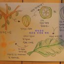 카카오패밀리세화공장