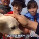 죽도농장 이미지