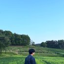 제일종합모터스 | 경북 예천 회룡포 마을 봄나들이 축제 뿅뿅다리 5월 연휴 국내여행