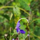 박달산 | 괴산박달산