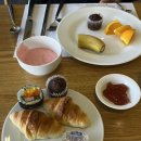 향유목장2 | 11월 제주도 🍊- 4