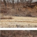 명호면사무소 이미지